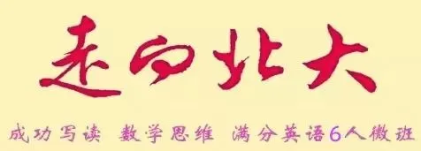 中考学生看过来,林晓老师帮你语文过90、破95、冲100! 第7张