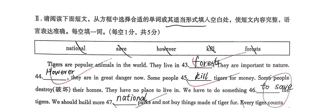 26南昌七年级期中英语试卷复盘!我手把手分析,孩子分数对应学习方向一目了然 第3张 26南昌七年级期中英语试卷复盘!我手把手分析,孩子分数对应学习方向一目了然 第3张