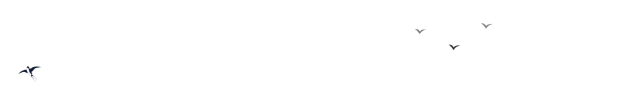 备考西药执业药师|西药一真题练习 第1张
