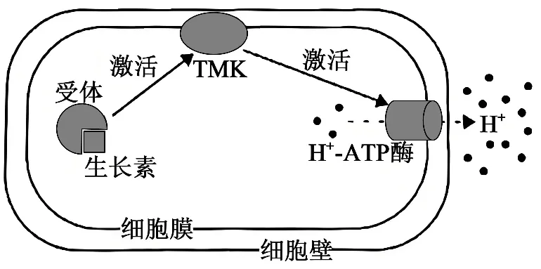 2025年甘肃省高考生物学真题和答案(附各省下载) ⊙ 第8张