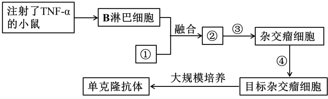 2025年甘肃省高考生物学真题和答案(附各省下载) ⊙ 第9张