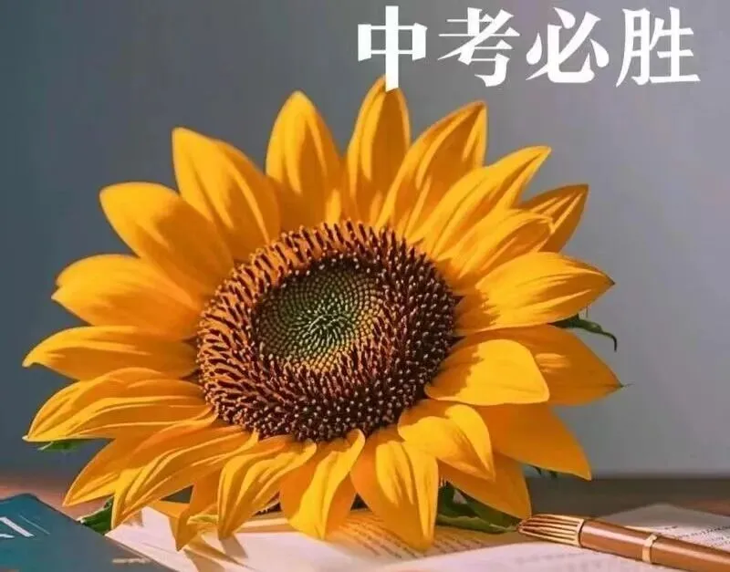 中考备考最后30 天,告别假勤奋,用对方法才能真提分 第1张 中考备考最后30 天,告别假勤奋,用对方法才能真提分 第1张