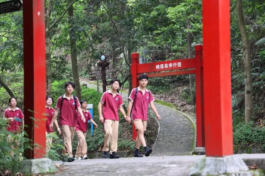 水霖少年登峰去,六月中考誓辉煌 第32张