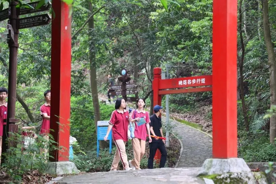 水霖少年登峰去,六月中考誓辉煌 第33张