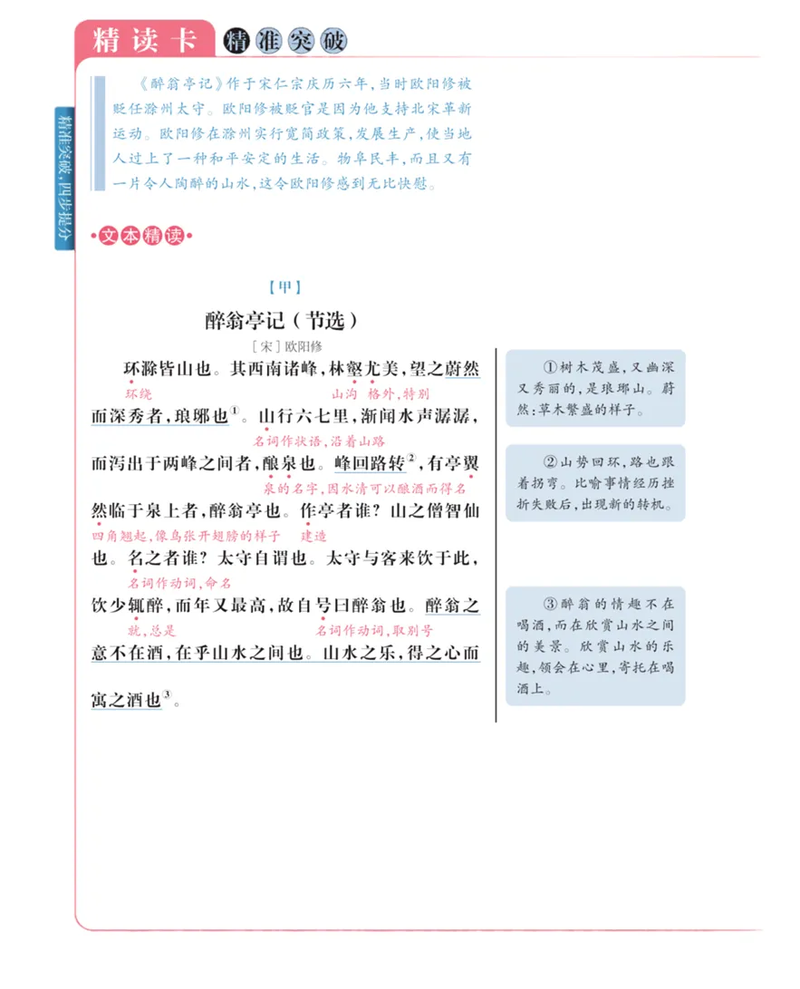 《精准突破》:古诗文阅读中考精讲精练,助力语文稳提分! 第10张