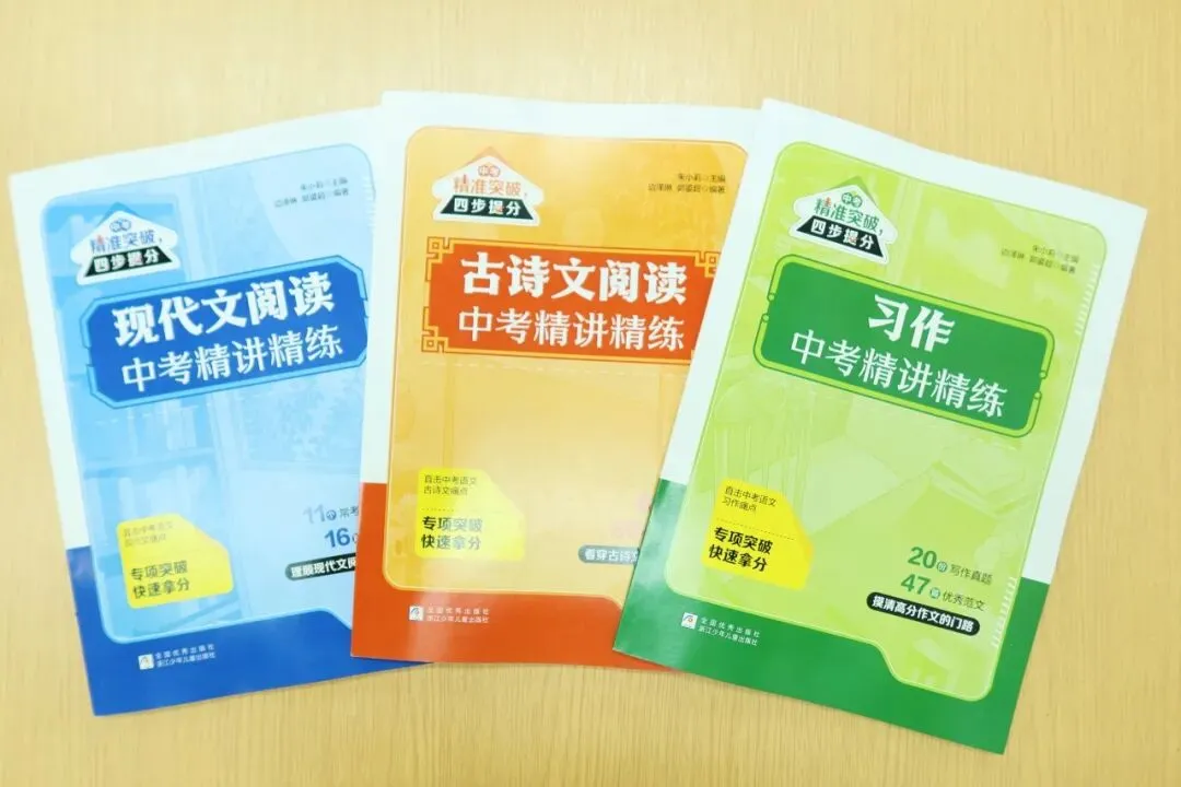 《精准突破》:古诗文阅读中考精讲精练,助力语文稳提分! 第20张