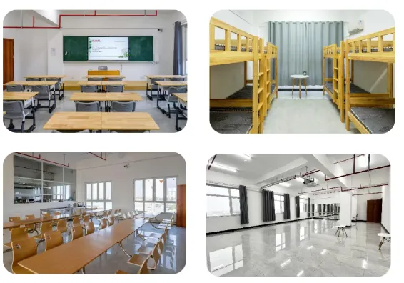 中考特长生丨2026思而进中考音体美书法特长生招生简章(面向初三学生) 第14张