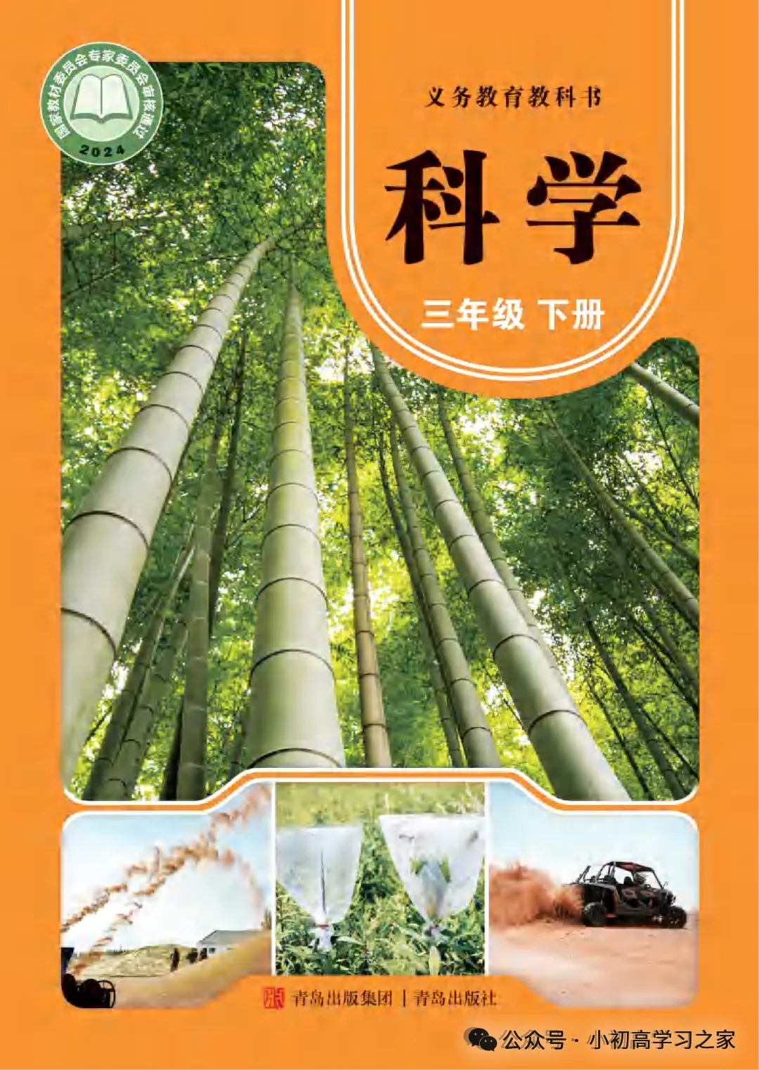 试卷习题║新青岛版三下科学第四单元第18课《矿产资源》课时习题(2026春新教材),小学科学三年级下册课课练大全! 第2张