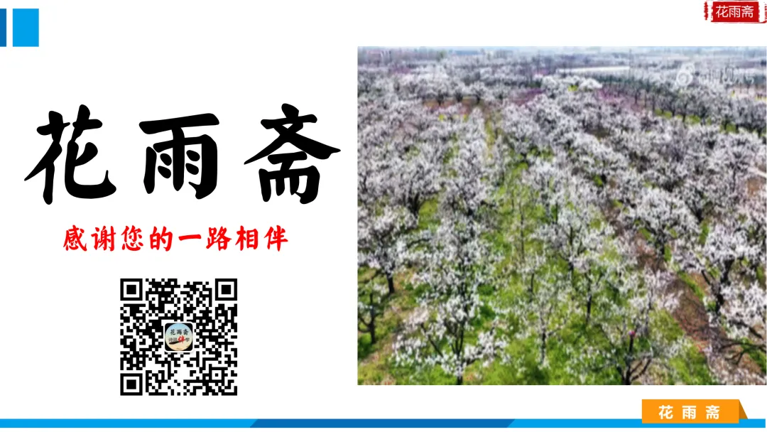 培优专题|《中考三十天“诗词默写”提分策略》课件 第15张