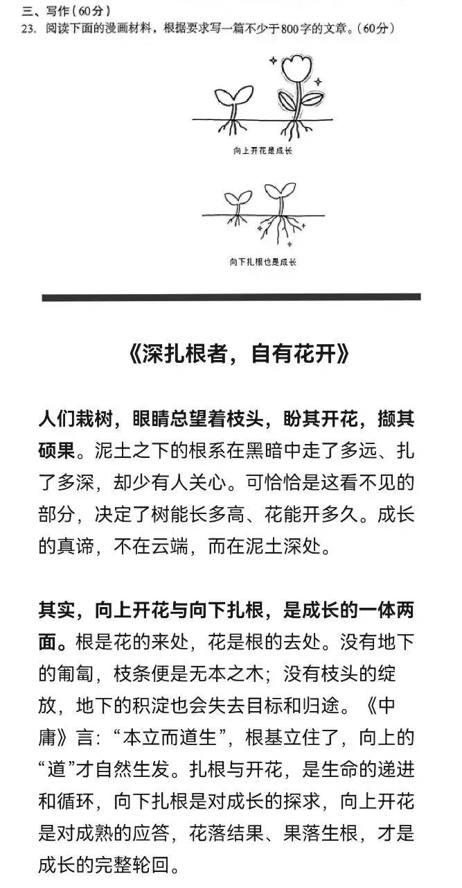 《深扎根者 自有花开》南宁高三模拟考作文示范 第1张