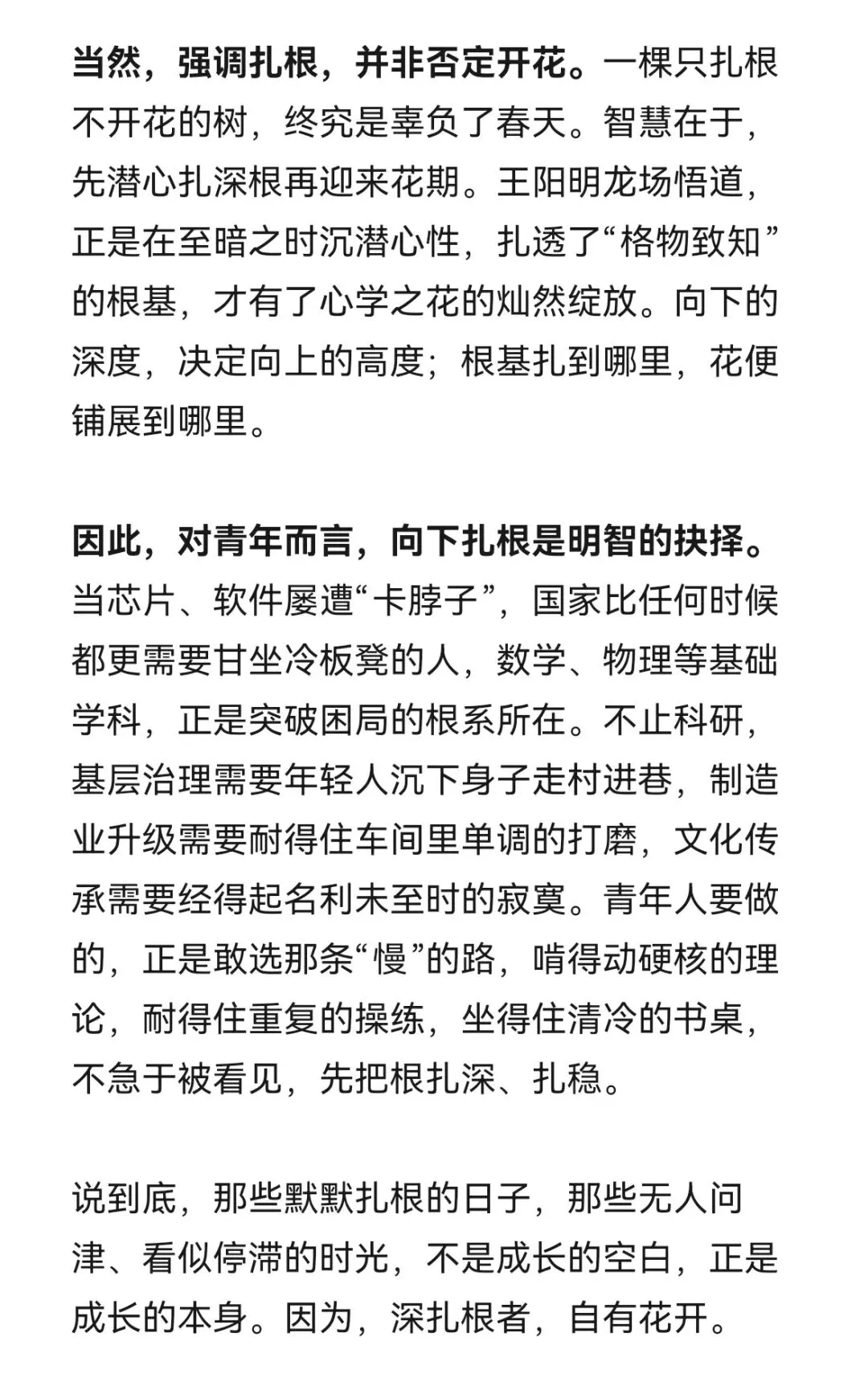《深扎根者 自有花开》南宁高三模拟考作文示范 第3张