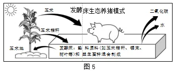 试卷:2026年生物中考冲刺卷 第6张