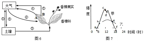试卷:2026年生物中考冲刺卷 第7张