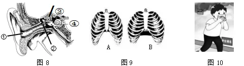 试卷:2026年生物中考冲刺卷 第8张