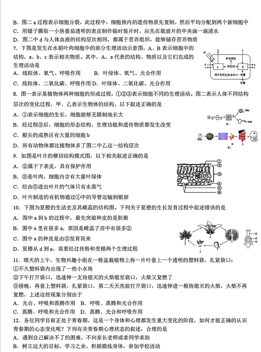 2025年山东省临沂市费县二模生物试卷(含答案) 第3张