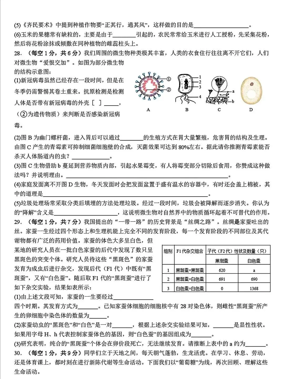 2025年山东省临沂市费县二模生物试卷(含答案) 第7张