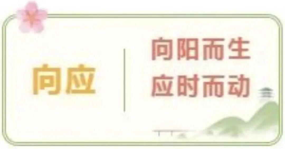 凝心聚力筑梦中考,家校同心护航成长——向应中学召开初三家长会 第1张 凝心聚力筑梦中考,家校同心护航成长——向应中学召开初三家长会 第1张