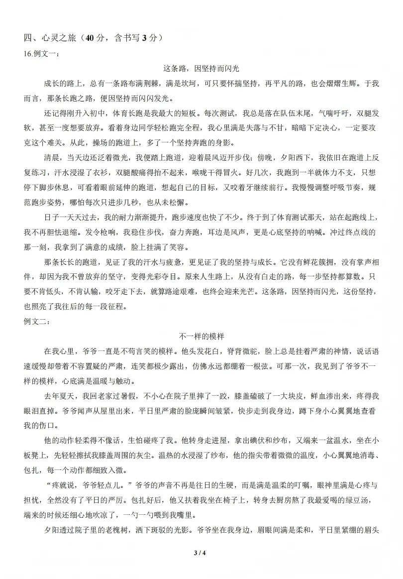 山西2026年第二次中考调研模拟试题语文试卷及答案 第11张