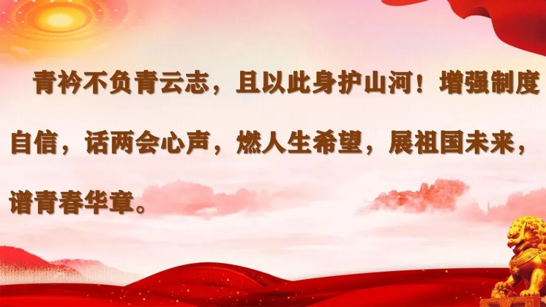 笃行备中考|专题复习优秀课例展示《认识国家机关 践行人民民主》 第39张