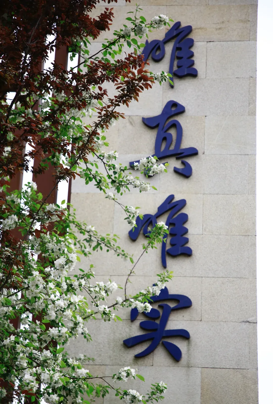 中考签约不流行了?苏州2所高中官宣开放日! 第20张