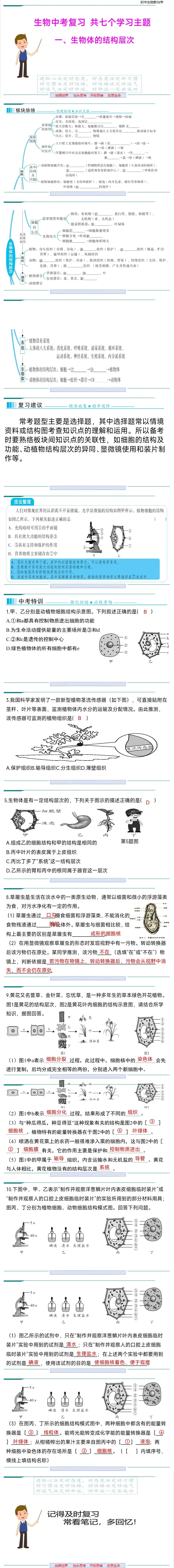 生物中考二轮复习pptx课件(共七个主题四个专项,包括思维导图、复习建议、典型例题、特训) 主题一 生物体的结构层次 第2张