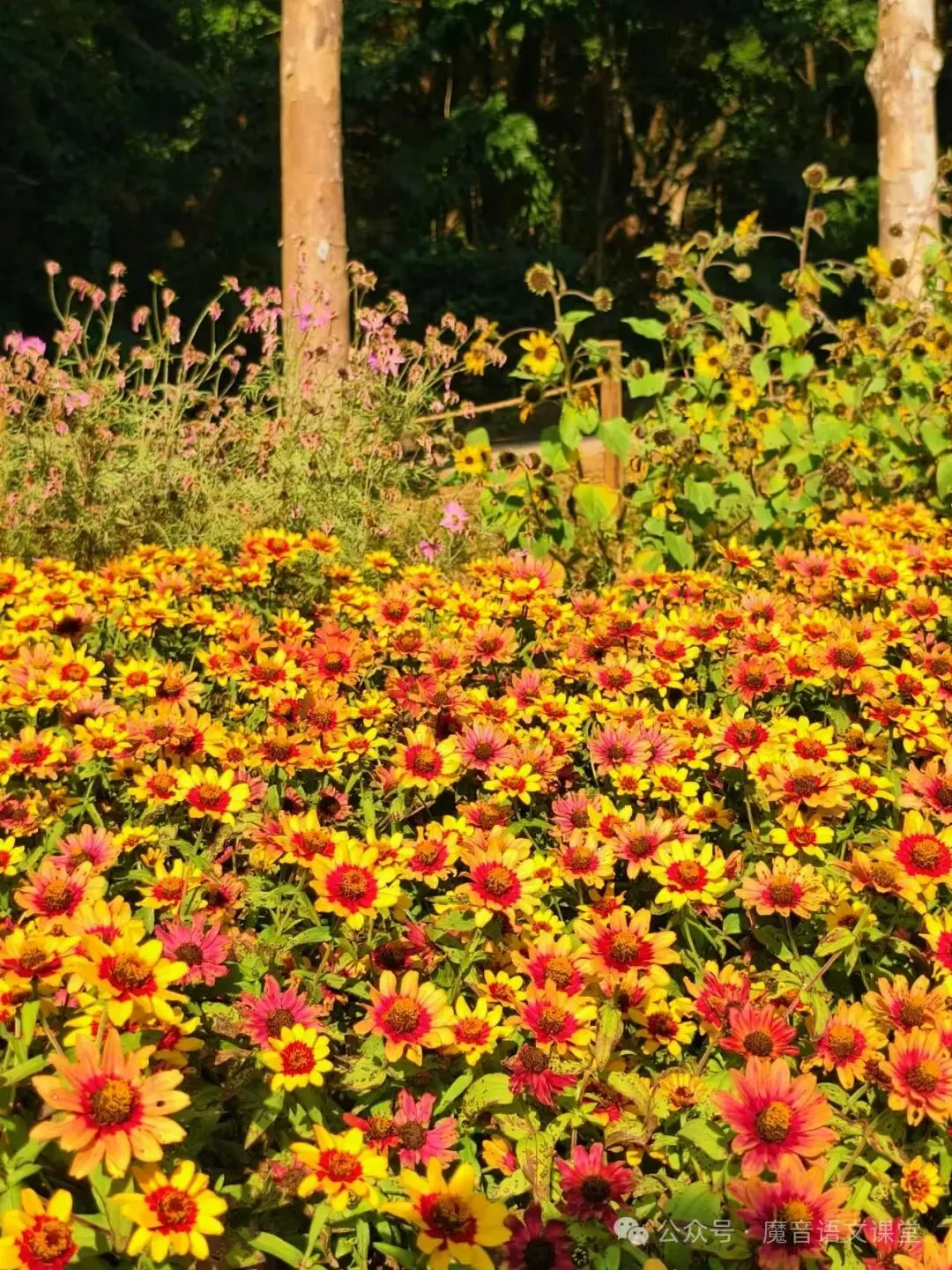 2026年上海市浦东区高三语文三模试卷(暂无答案) 第1张