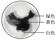 2026年高考第二次模拟考试(黑吉辽蒙专用)学易金卷03-生物学试题和答案(附word下载) ⊙ 第7张 2026年高考第二次模拟考试(黑吉辽蒙专用)学易金卷03-生物学试题和答案(附word下载) ⊙ 第7张