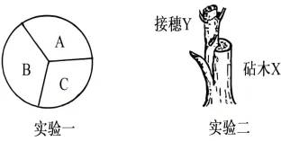 2026年高考第二次模拟考试(黑吉辽蒙专用)学易金卷03-生物学试题和答案(附word下载) ⊙ 第12张 2026年高考第二次模拟考试(黑吉辽蒙专用)学易金卷03-生物学试题和答案(附word下载) ⊙ 第12张
