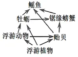 2026年高考第二次模拟考试(黑吉辽蒙专用)学易金卷03-生物学试题和答案(附word下载) ⊙ 第14张 2026年高考第二次模拟考试(黑吉辽蒙专用)学易金卷03-生物学试题和答案(附word下载) ⊙ 第14张