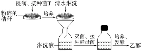 2026年高考第二次模拟考试(黑吉辽蒙专用)学易金卷03-生物学试题和答案(附word下载) ⊙ 第15张 2026年高考第二次模拟考试(黑吉辽蒙专用)学易金卷03-生物学试题和答案(附word下载) ⊙ 第15张