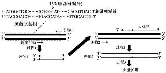 2026年高考第二次模拟考试(黑吉辽蒙专用)学易金卷03-生物学试题和答案(附word下载) ⊙ 第17张 2026年高考第二次模拟考试(黑吉辽蒙专用)学易金卷03-生物学试题和答案(附word下载) ⊙ 第17张