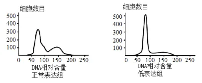 2026年高考第二次模拟考试(黑吉辽蒙专用)学易金卷03-生物学试题和答案(附word下载) ⊙ 第19张 2026年高考第二次模拟考试(黑吉辽蒙专用)学易金卷03-生物学试题和答案(附word下载) ⊙ 第19张