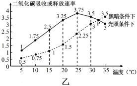 2026年高考第二次模拟考试(黑吉辽蒙专用)学易金卷03-生物学试题和答案(附word下载) ⊙ 第21张 2026年高考第二次模拟考试(黑吉辽蒙专用)学易金卷03-生物学试题和答案(附word下载) ⊙ 第21张