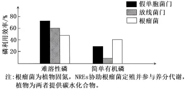2026年高考第二次模拟考试(黑吉辽蒙专用)学易金卷03-生物学试题和答案(附word下载) ⊙ 第22张 2026年高考第二次模拟考试(黑吉辽蒙专用)学易金卷03-生物学试题和答案(附word下载) ⊙ 第22张