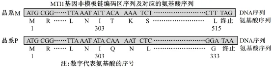 2026年高考第二次模拟考试(黑吉辽蒙专用)学易金卷03-生物学试题和答案(附word下载) ⊙ 第26张 2026年高考第二次模拟考试(黑吉辽蒙专用)学易金卷03-生物学试题和答案(附word下载) ⊙ 第26张