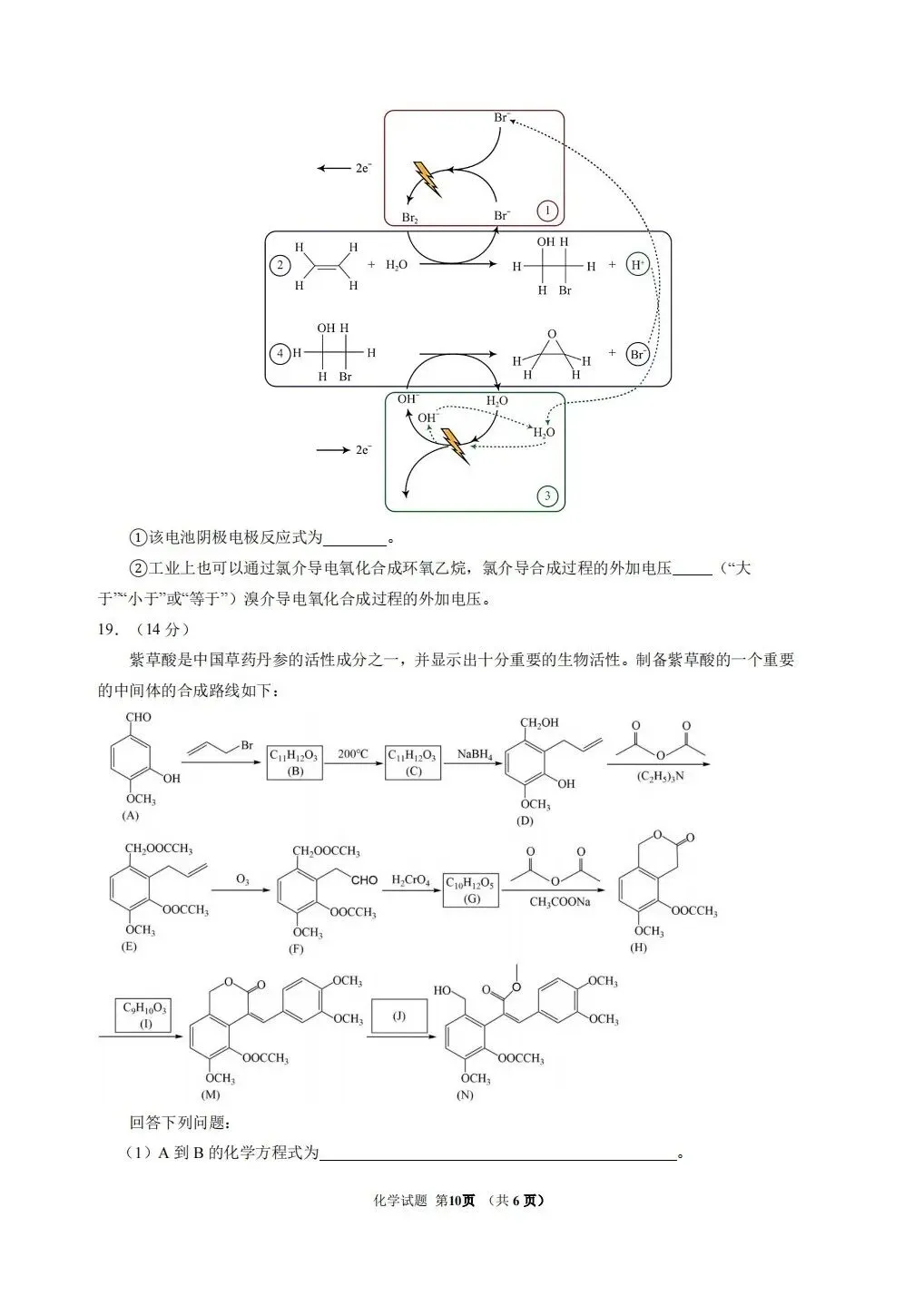 (全科试题电子版)26年5月东北师大附中模拟考试试题及详细解析 第35张