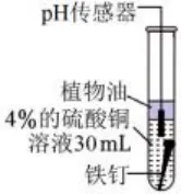 2026中考一模辽宁铁岭市昌图县 化学试卷及参考答案 智慧化学教学 出峡飞舟 昌图县杨智超初中化学名师种子工作室 第17张