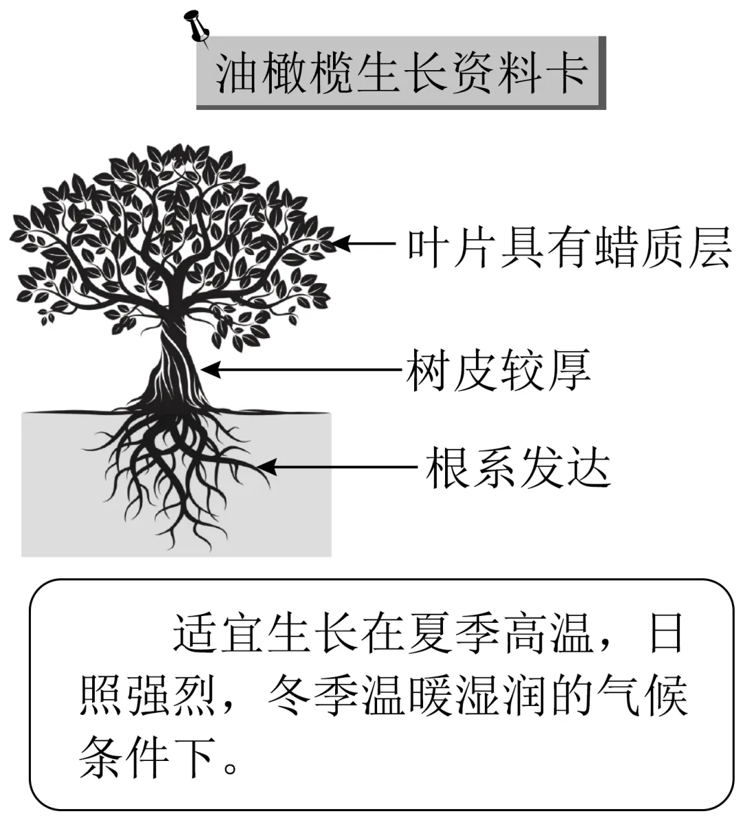 2026年地理中考热点(68)米兰-科尔蒂纳丹佩佐冬奥会 第29张