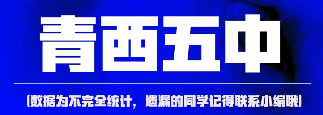 中考美术 | 2026酬勤画室中考大捷! 第3张