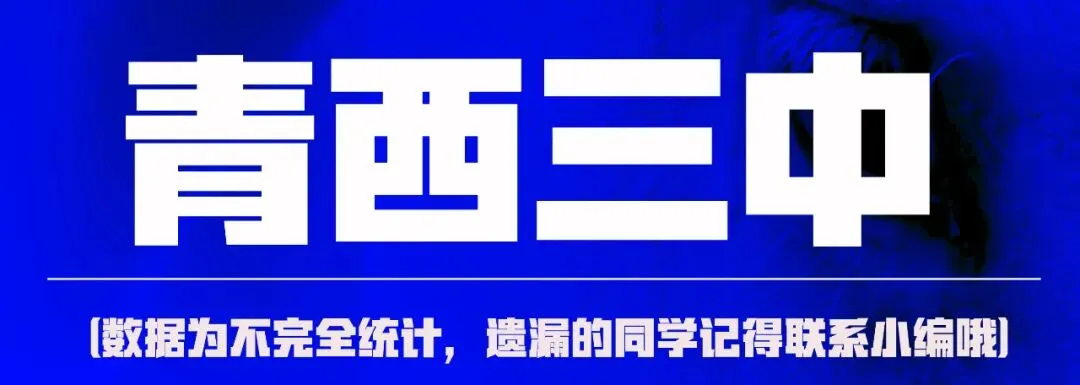 中考美术 | 2026酬勤画室中考大捷! 第11张