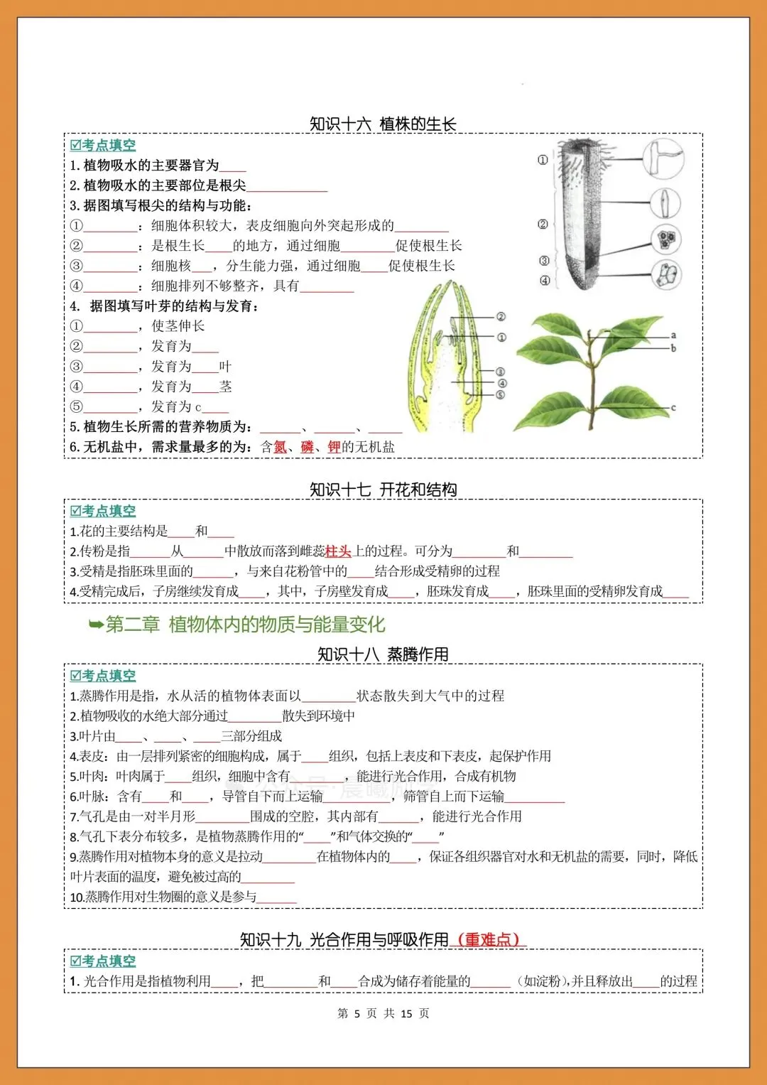 2026中考生物|初中生物会考知识点通关+考点梳理(附背诵+填空练习) 第6张