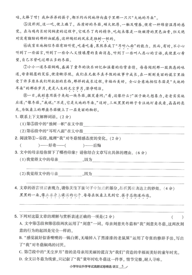 2026小升初语文《小学毕业升学考试真题试卷精选34套》|可下载 第8张 2026小升初语文《小学毕业升学考试真题试卷精选34套》|可下载 第8张