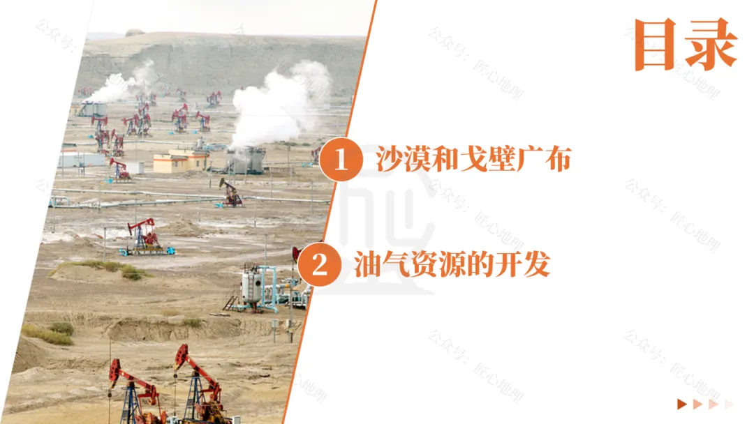 新教材 | 中考一轮复习·干旱的宝地——塔里木盆地(课件+导学单+练习题) 第20张