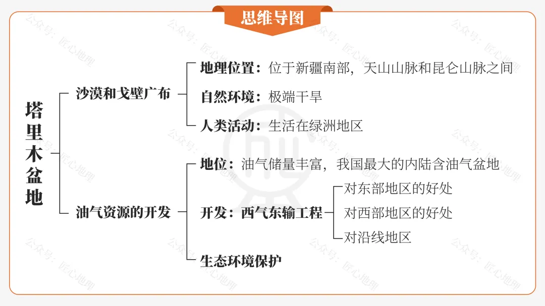 新教材 | 中考一轮复习·干旱的宝地——塔里木盆地(课件+导学单+练习题) 第26张