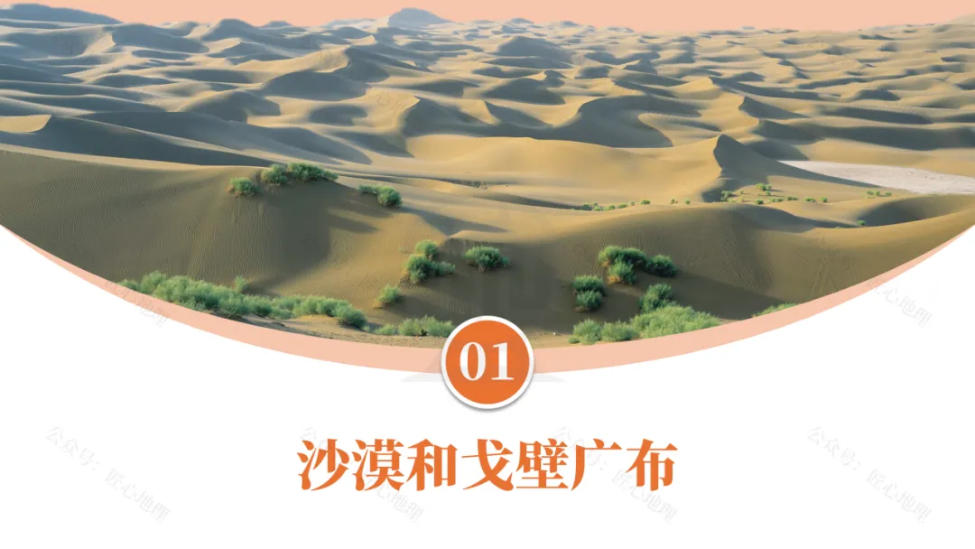 新教材 | 中考一轮复习·干旱的宝地——塔里木盆地(课件+导学单+练习题) 第27张