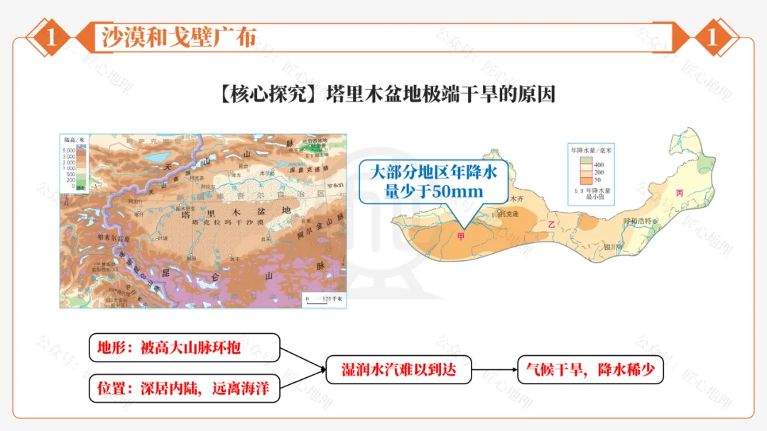 新教材 | 中考一轮复习·干旱的宝地——塔里木盆地(课件+导学单+练习题) 第31张