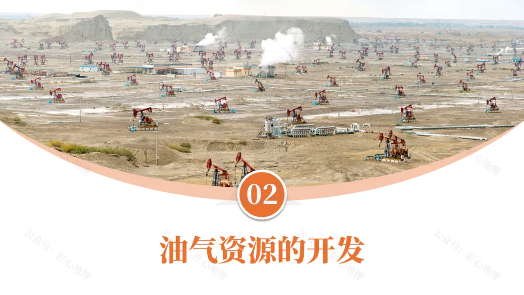 新教材 | 中考一轮复习·干旱的宝地——塔里木盆地(课件+导学单+练习题) 第32张