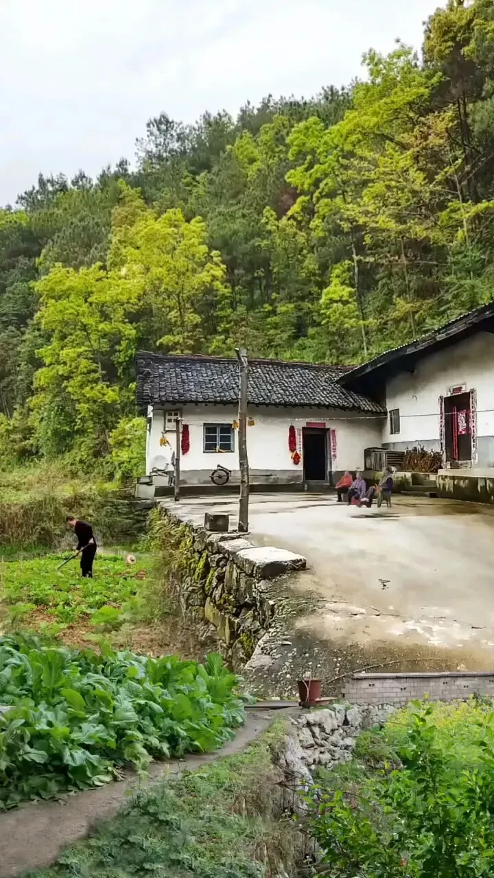 2026中考作文模拟题及范文:______,让我找到松弛感(2026中考终极押题作文资料助你提分!八年连中!,你说中不中!) 第4张