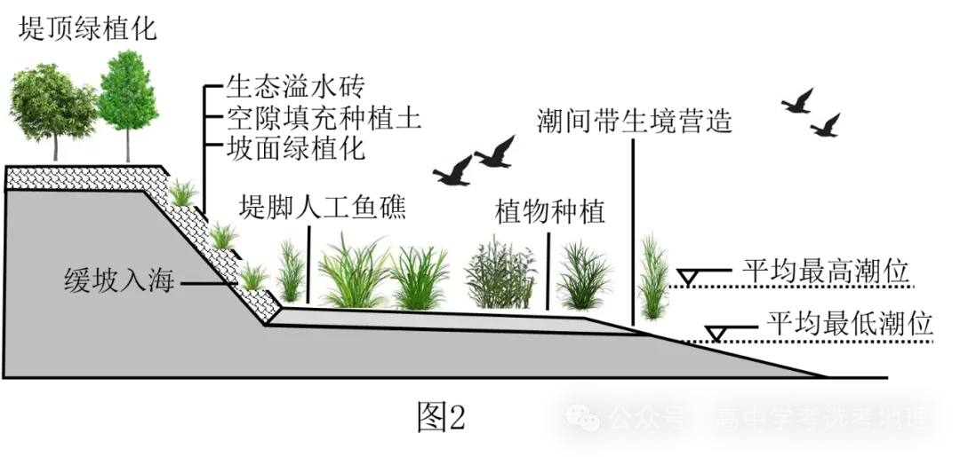 【技巧】考前!重读高考真题(2024.1-2026.1)评分细则,知答题技巧之三 第5张