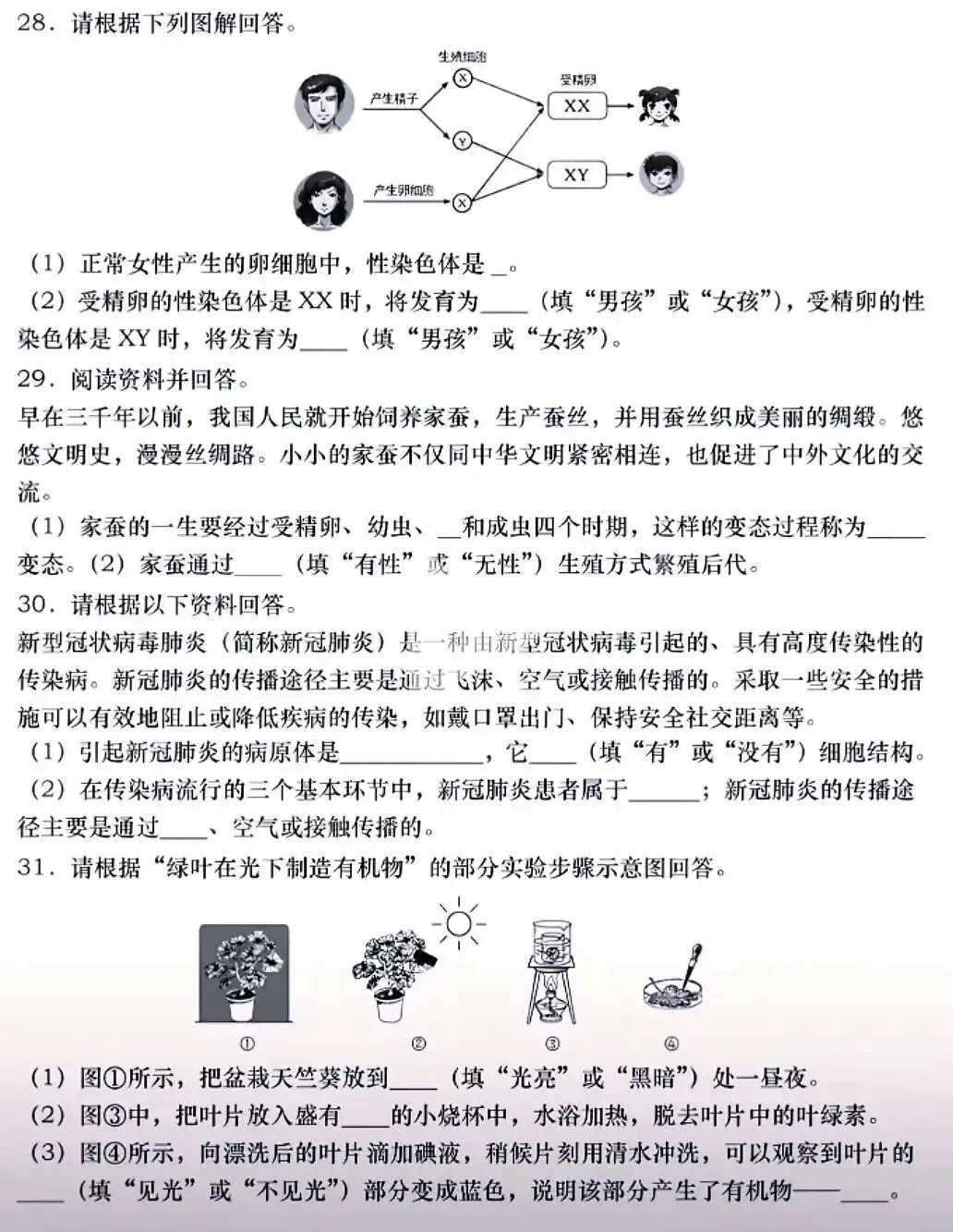 模拟试卷:2026年生物中考模拟卷(四) 第4张